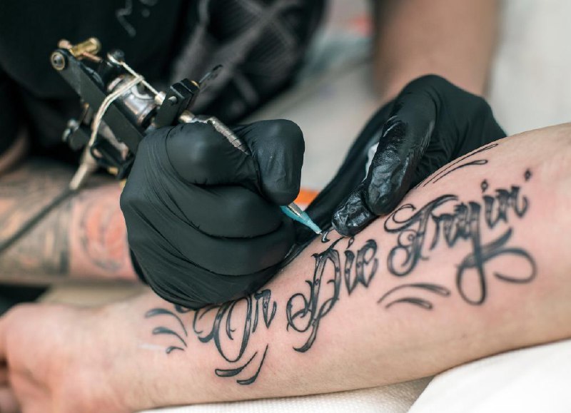 Kim Davis Portfolio 4